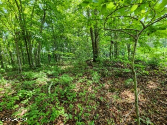 674 Rhodas Way Sunbright TN 37872