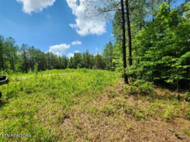 674 Rhodas Way Sunbright TN 37872