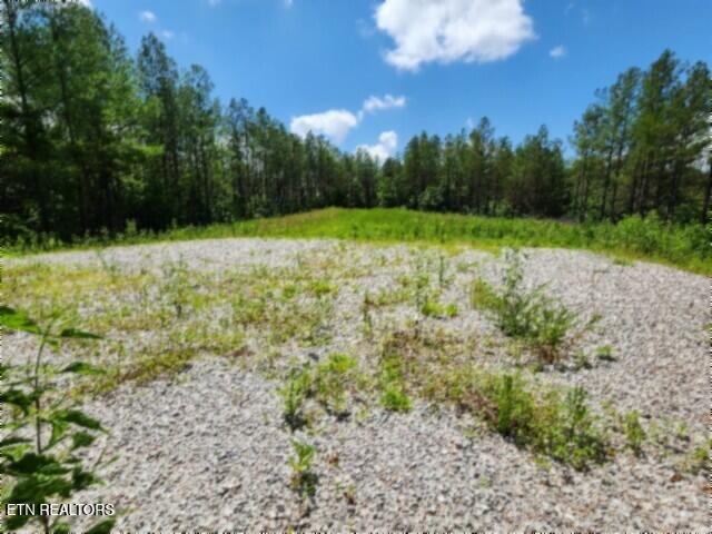 674 Rhodas Way Sunbright TN 37872