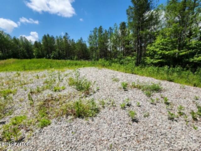 674 Rhodas Way Sunbright TN 37872