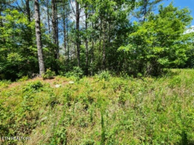 674 Rhodas Way Sunbright TN 37872