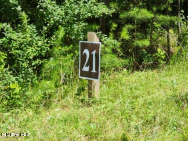 674 Rhodas Way Sunbright TN 37872