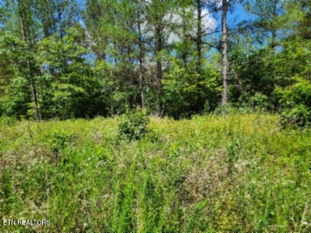 674 Rhodas Way Sunbright TN 37872
