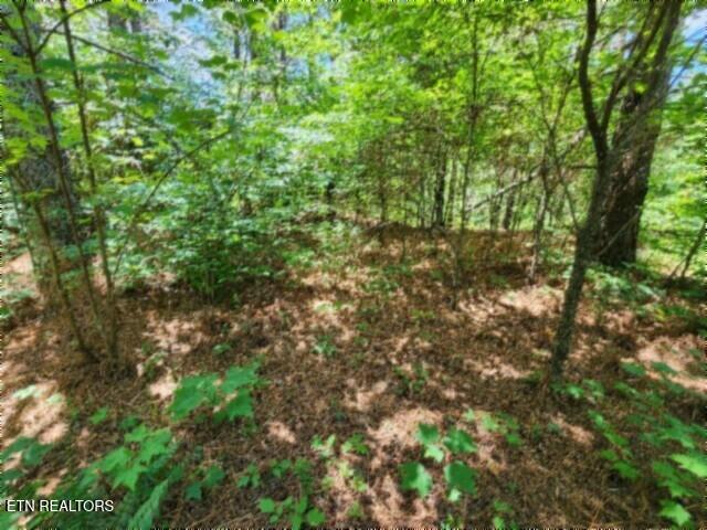674 Rhodas Way Sunbright TN 37872