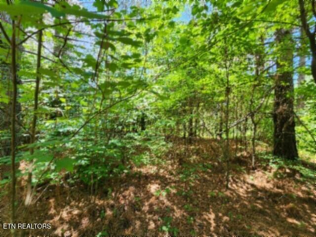 674 Rhodas Way Sunbright TN 37872