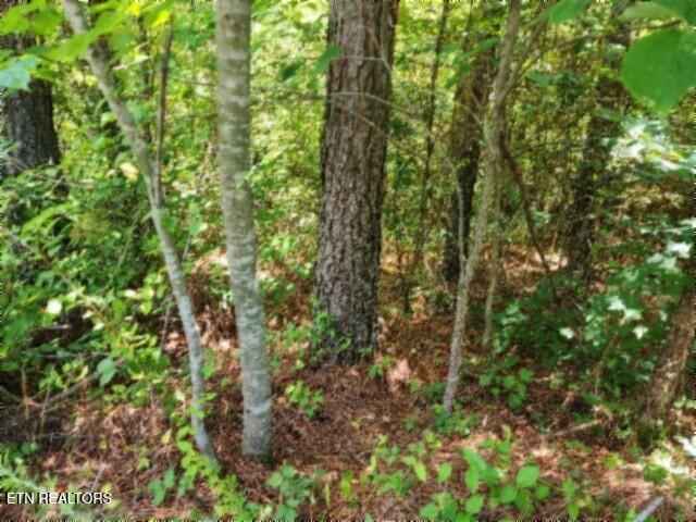 674 Rhodas Way Sunbright TN 37872