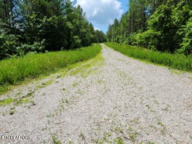 674 Rhodas Way Sunbright TN 37872