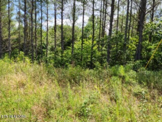 674 Rhodas Way Sunbright TN 37872