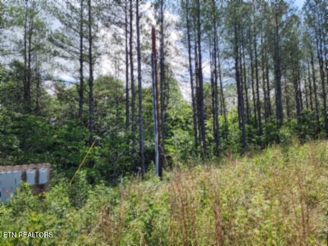 674 Rhodas Way Sunbright TN 37872