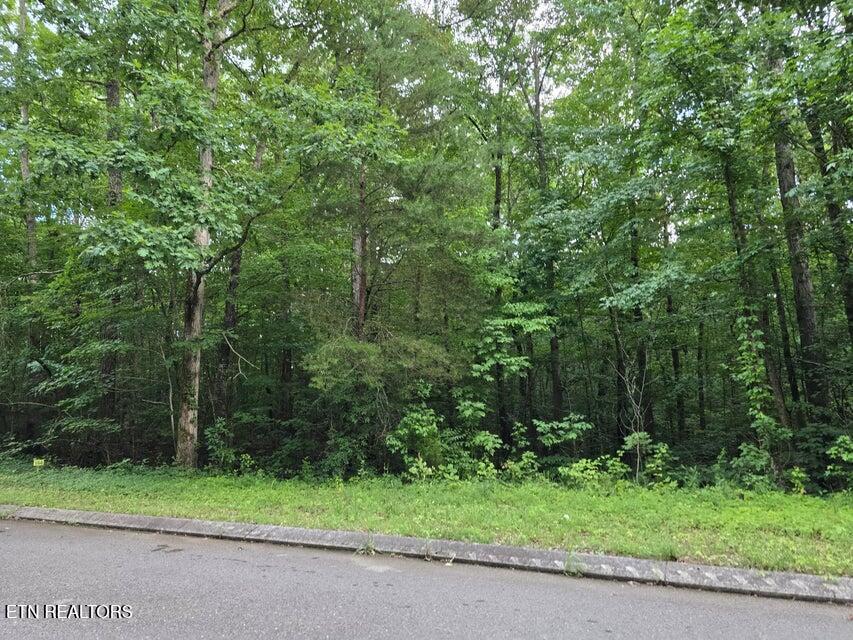 Lot 144 Lower Brow Road Dunlap TN 37327