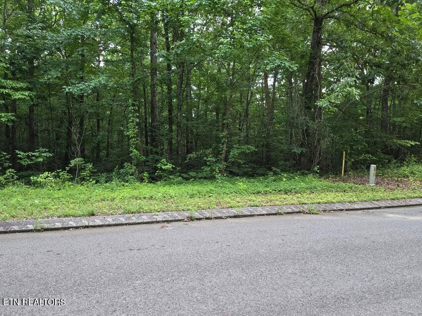 Lot 144 Lower Brow Road Dunlap TN 37327