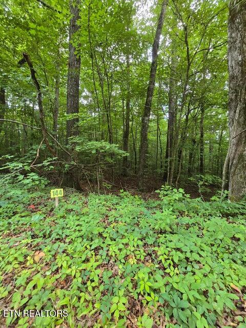 Lot 144 Lower Brow Road Dunlap TN 37327