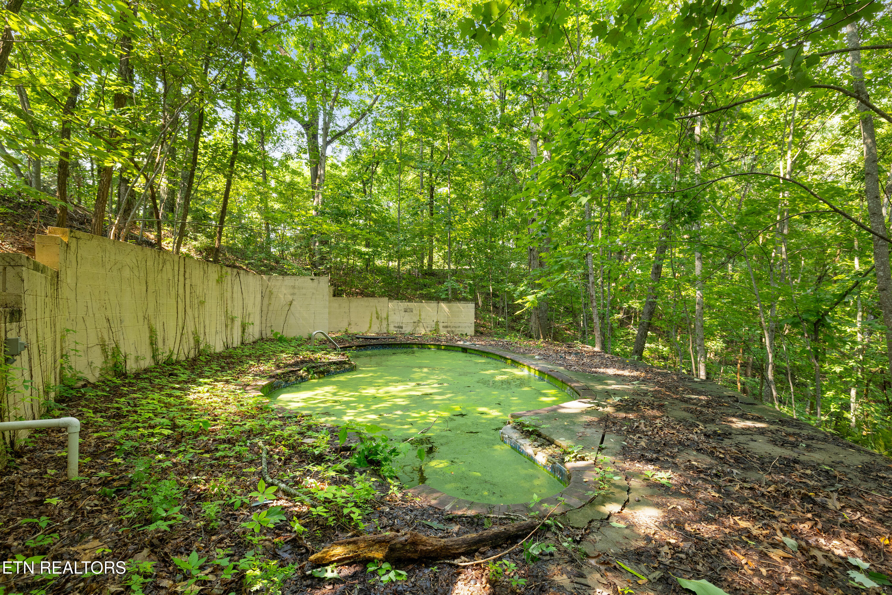 1969 Trace Way Sevierville TN 37862