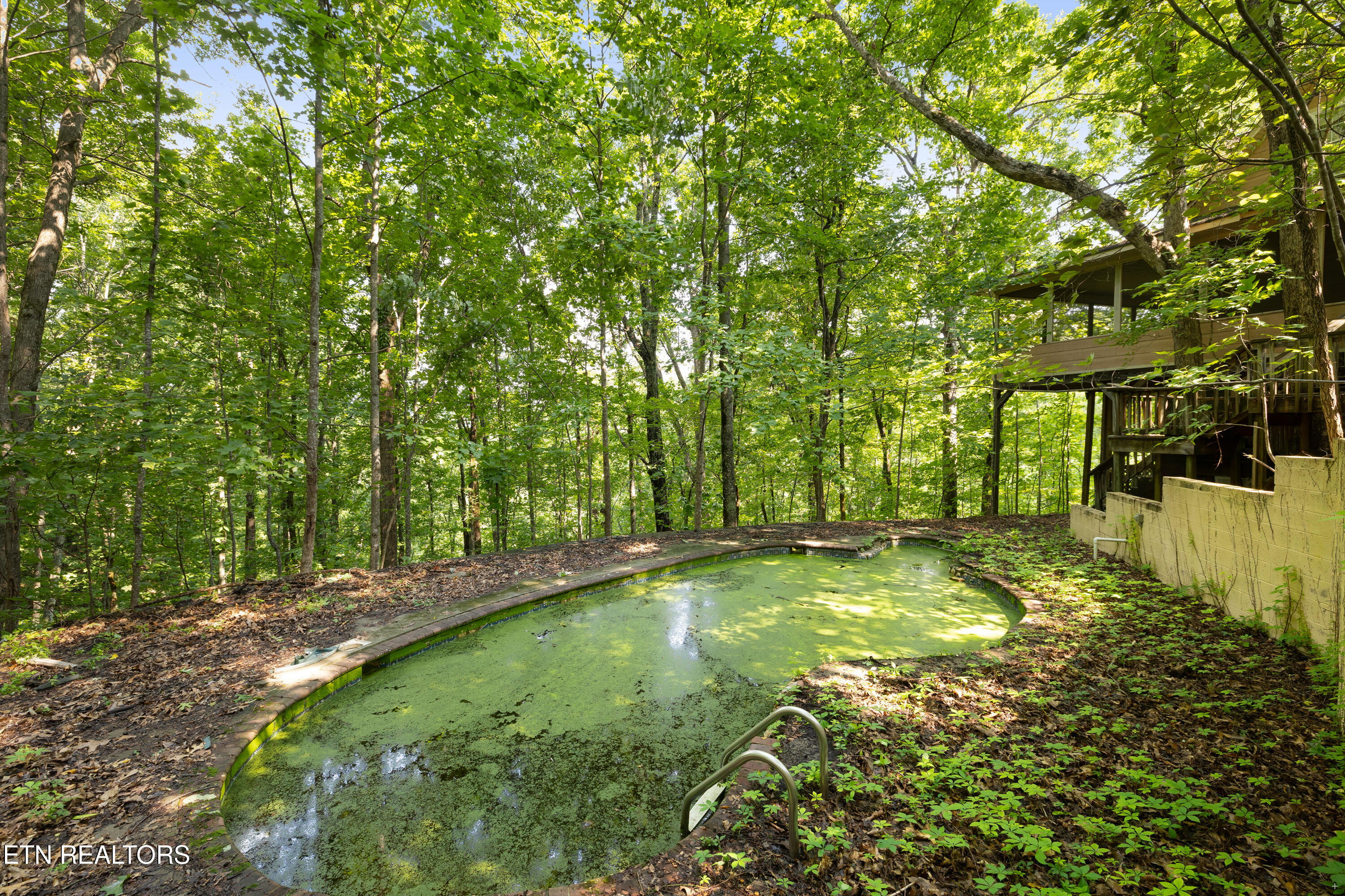 1969 Trace Way Sevierville TN 37862