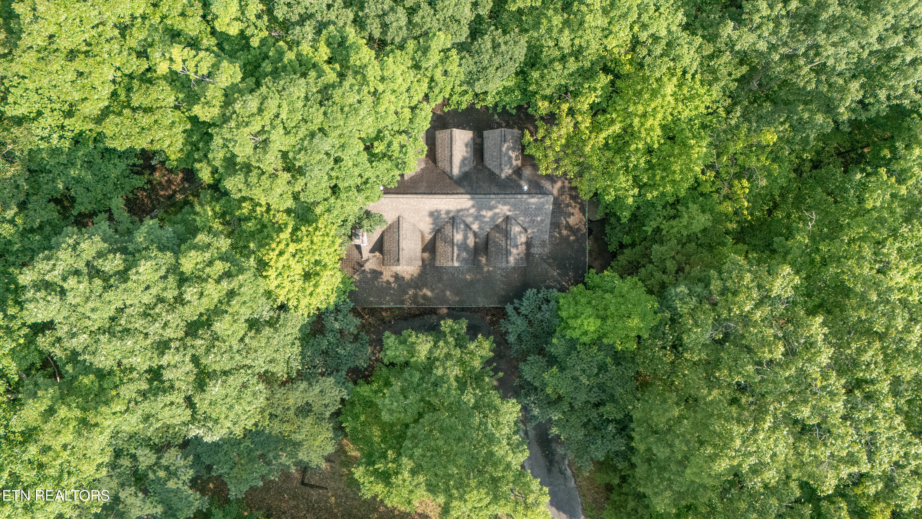 1969 Trace Way Sevierville TN 37862