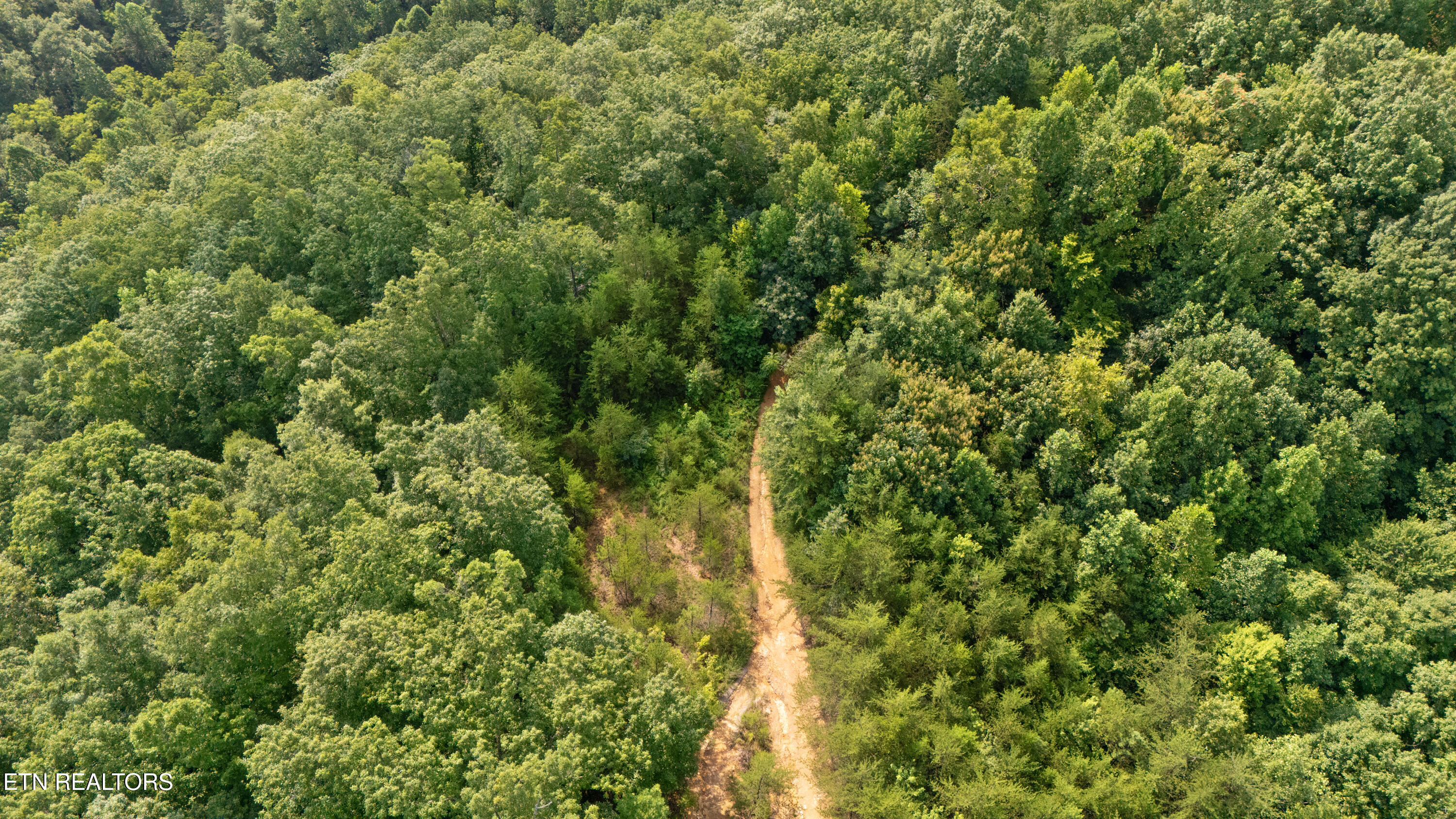 1969 Trace Way Sevierville TN 37862