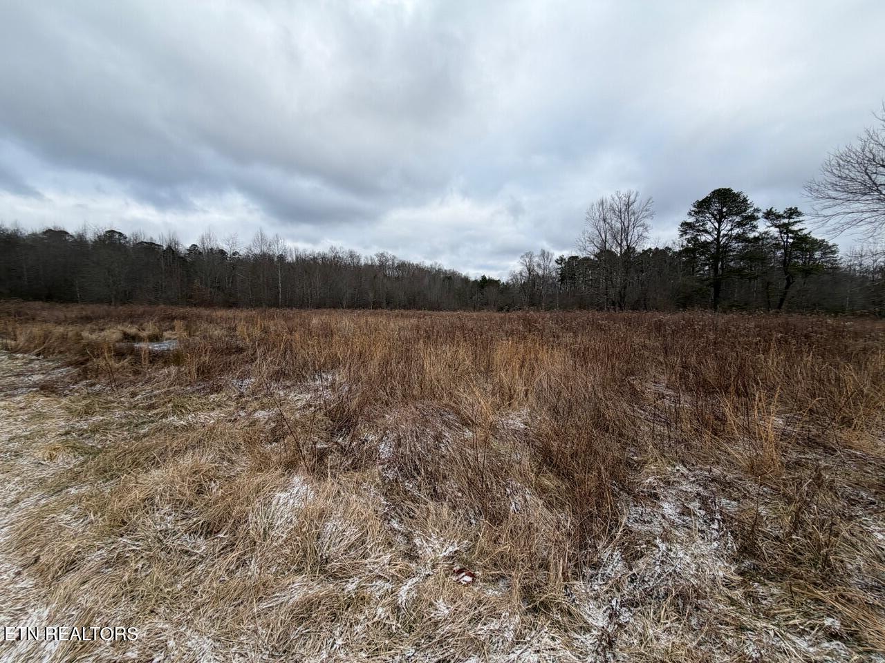 5441 White Oak Road Duff TN 37729