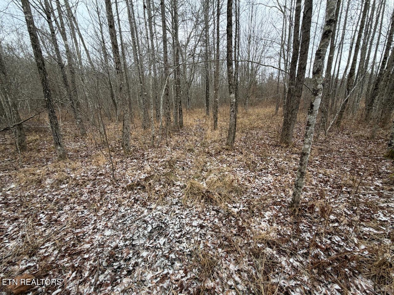 5441 White Oak Road Duff TN 37729