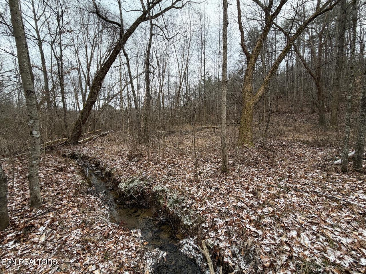 5441 White Oak Road Duff TN 37729