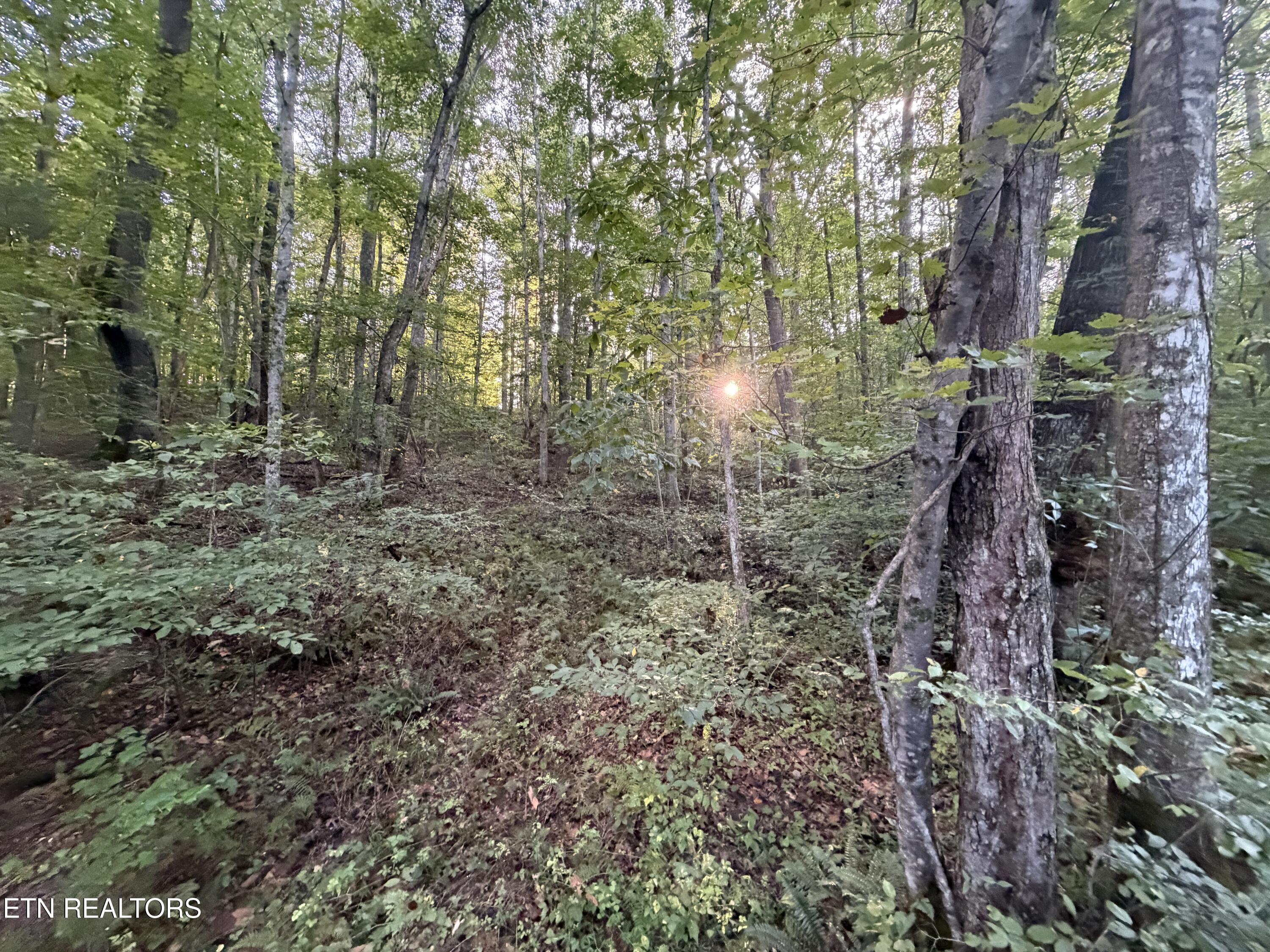 5441 White Oak Road Duff TN 37729
