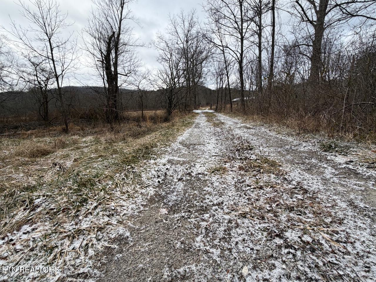 5441 White Oak Road Duff TN 37729