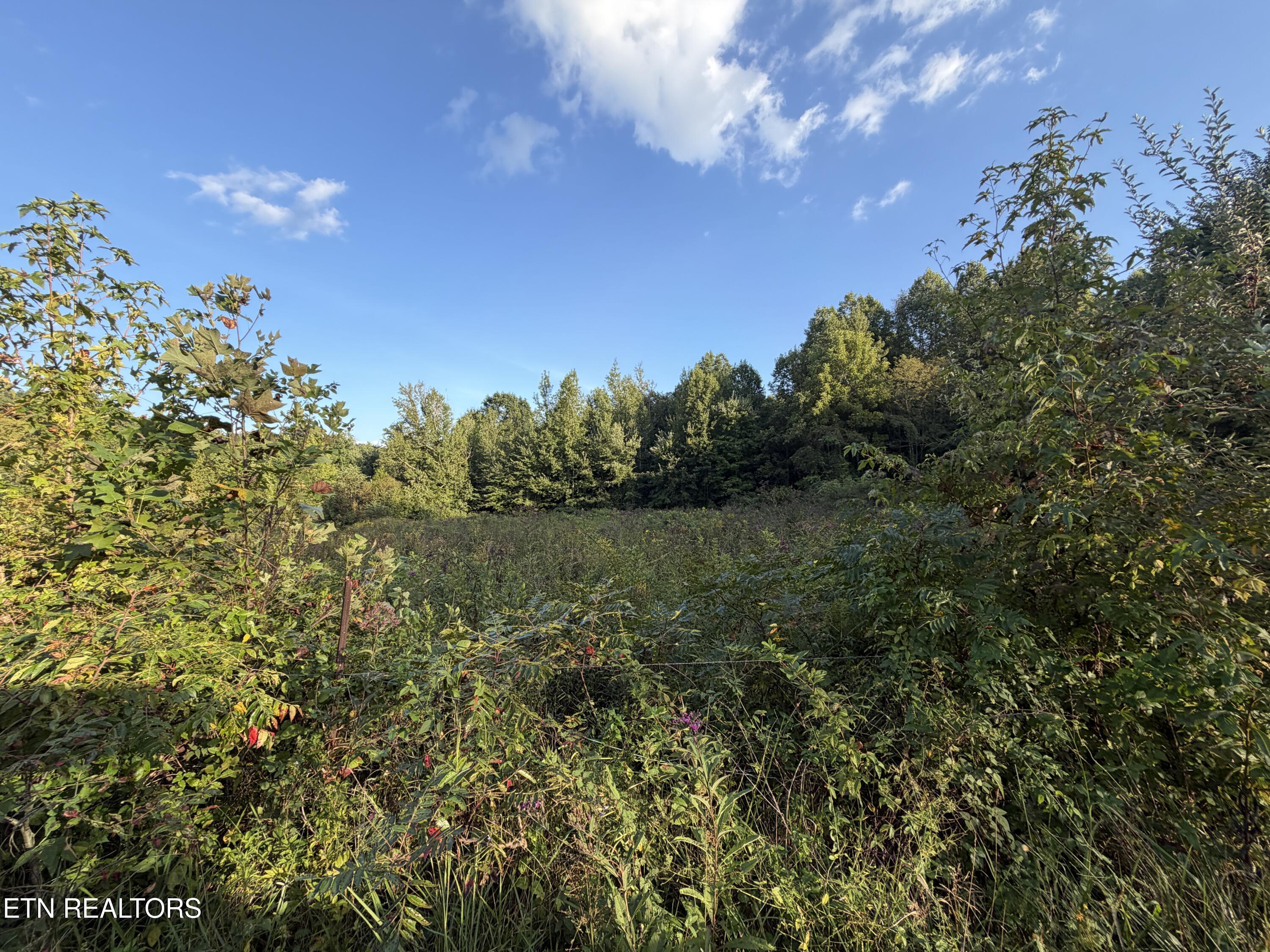 5441 White Oak Road Duff TN 37729