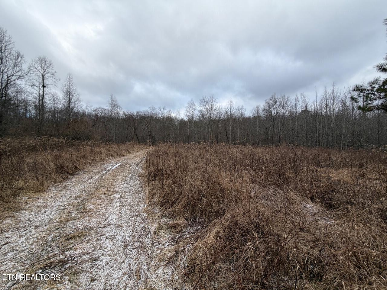 5441 White Oak Road Duff TN 37729