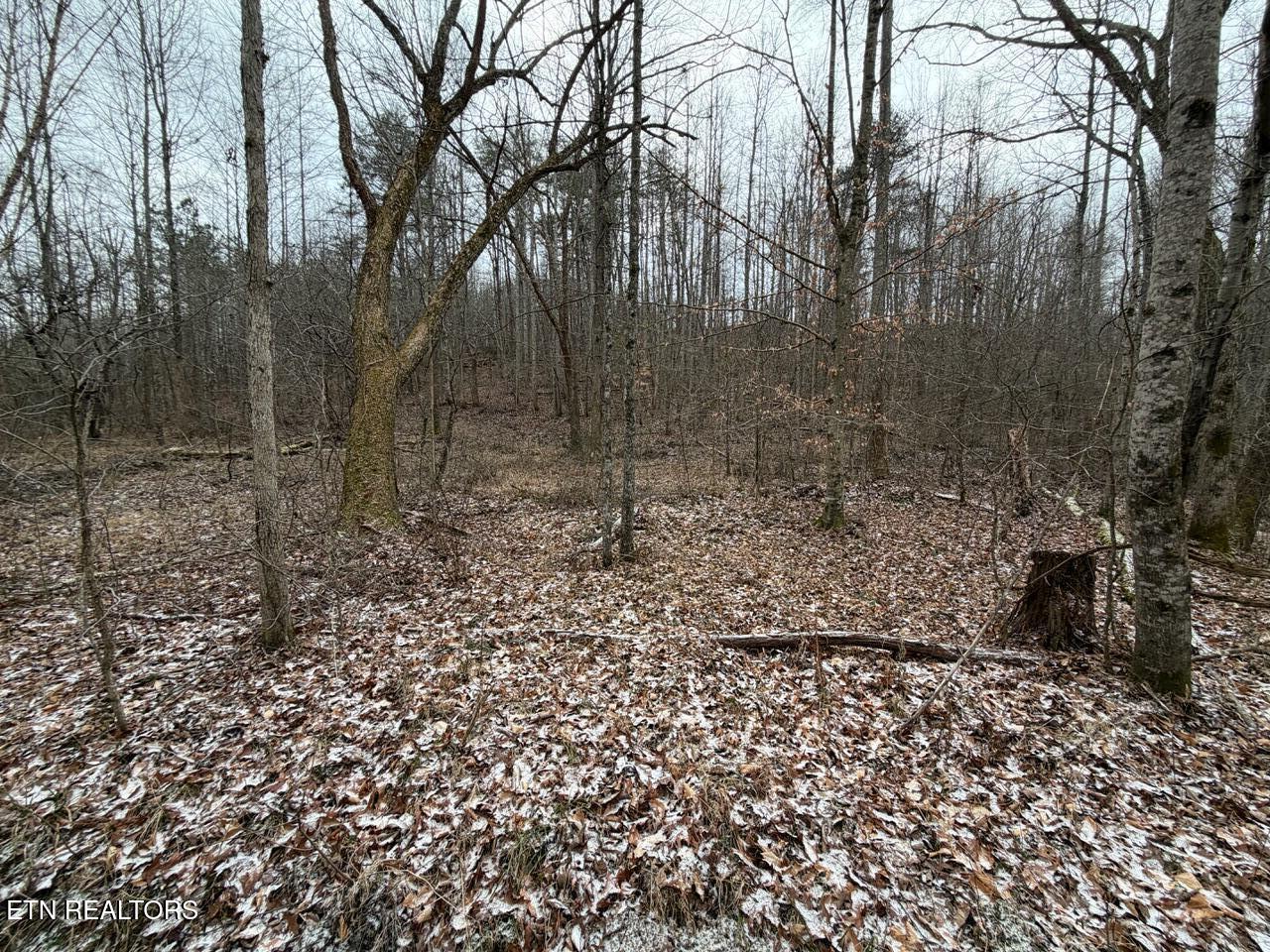5441 White Oak Road Duff TN 37729