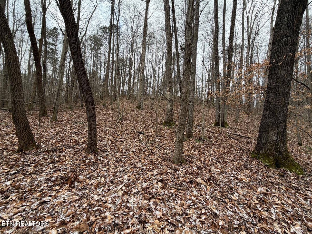 5441 White Oak Road Duff TN 37729