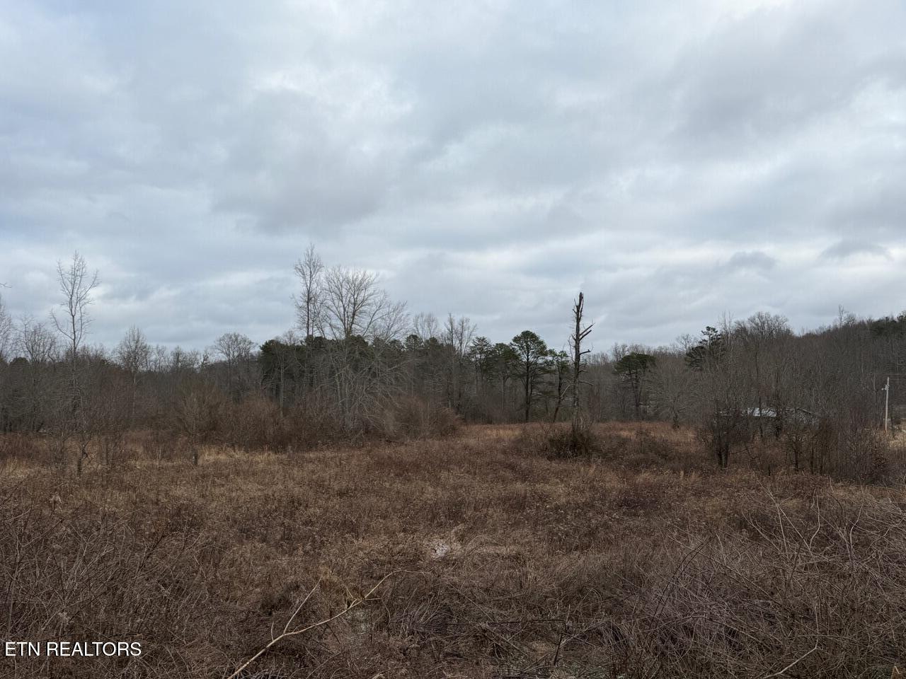 5441 White Oak Road Duff TN 37729