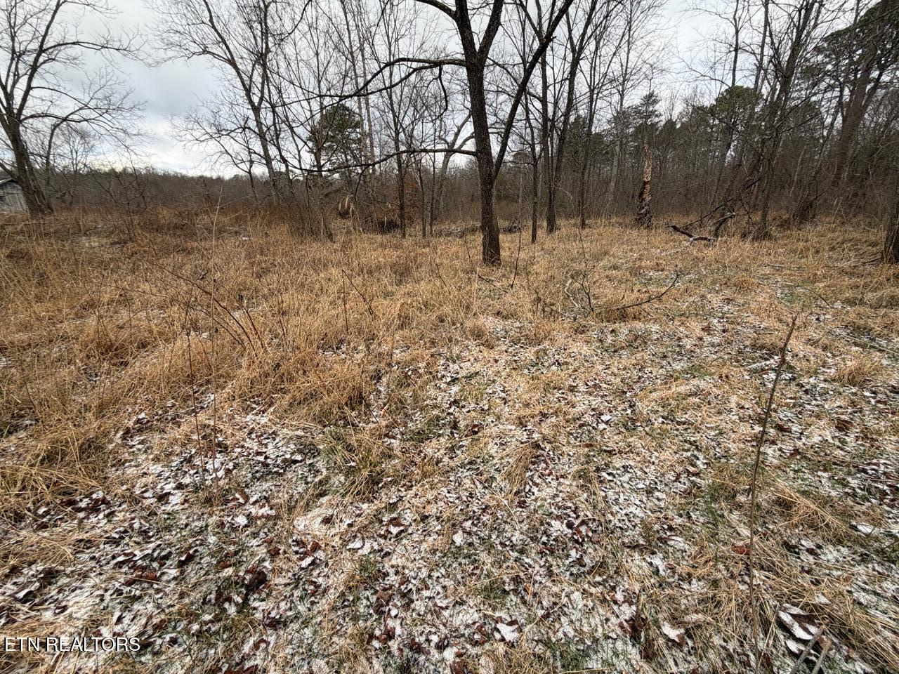 5441 White Oak Road Duff TN 37729