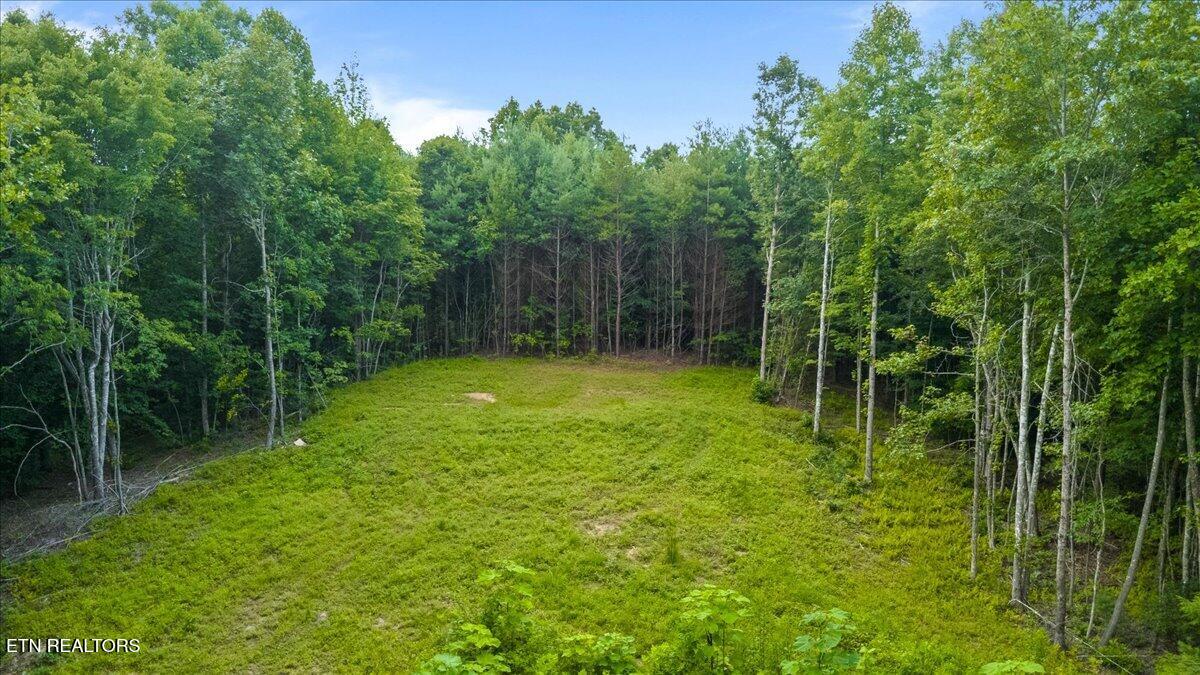 638 Jane Phillips Road Oneida TN 37841