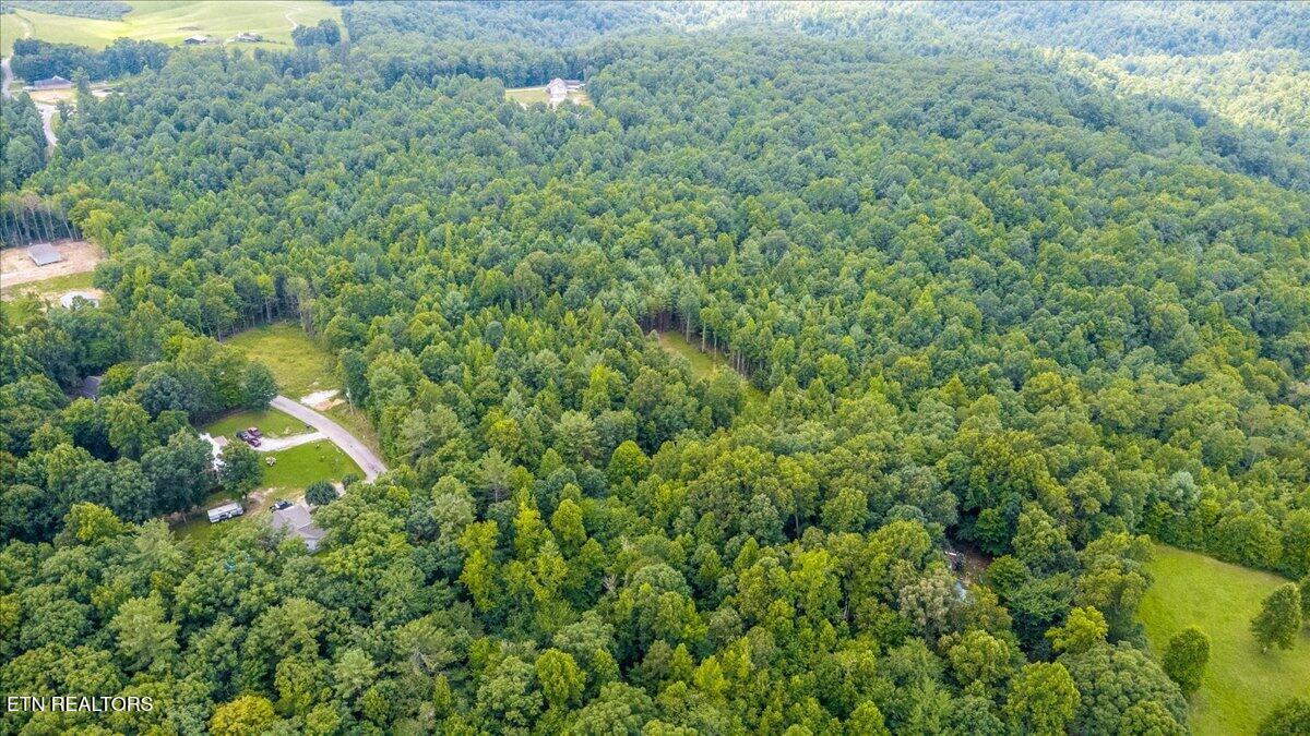 638 Jane Phillips Road Oneida TN 37841