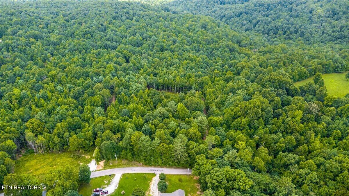 638 Jane Phillips Road Oneida TN 37841