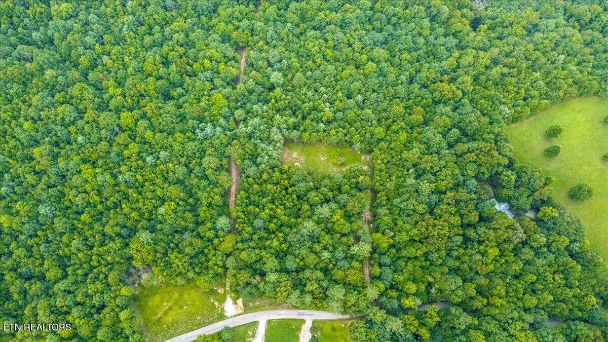 638 Jane Phillips Road Oneida TN 37841