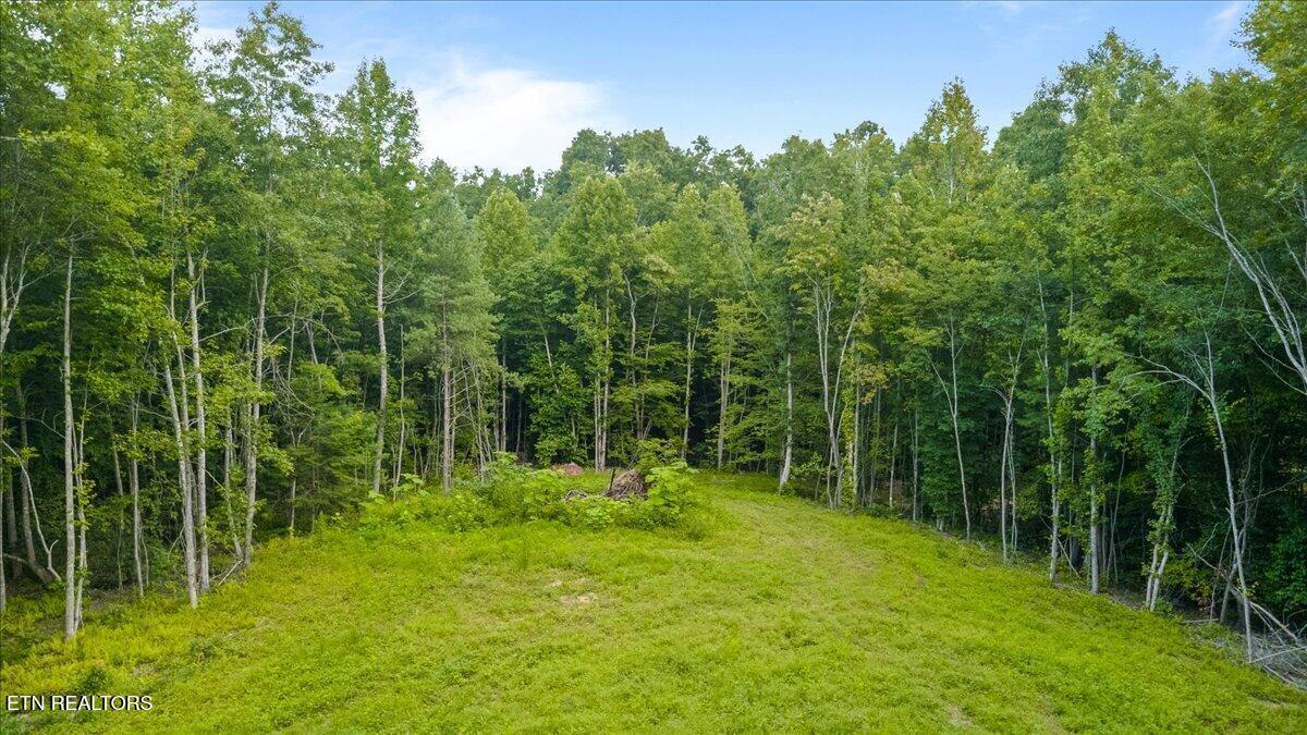 638 Jane Phillips Road Oneida TN 37841