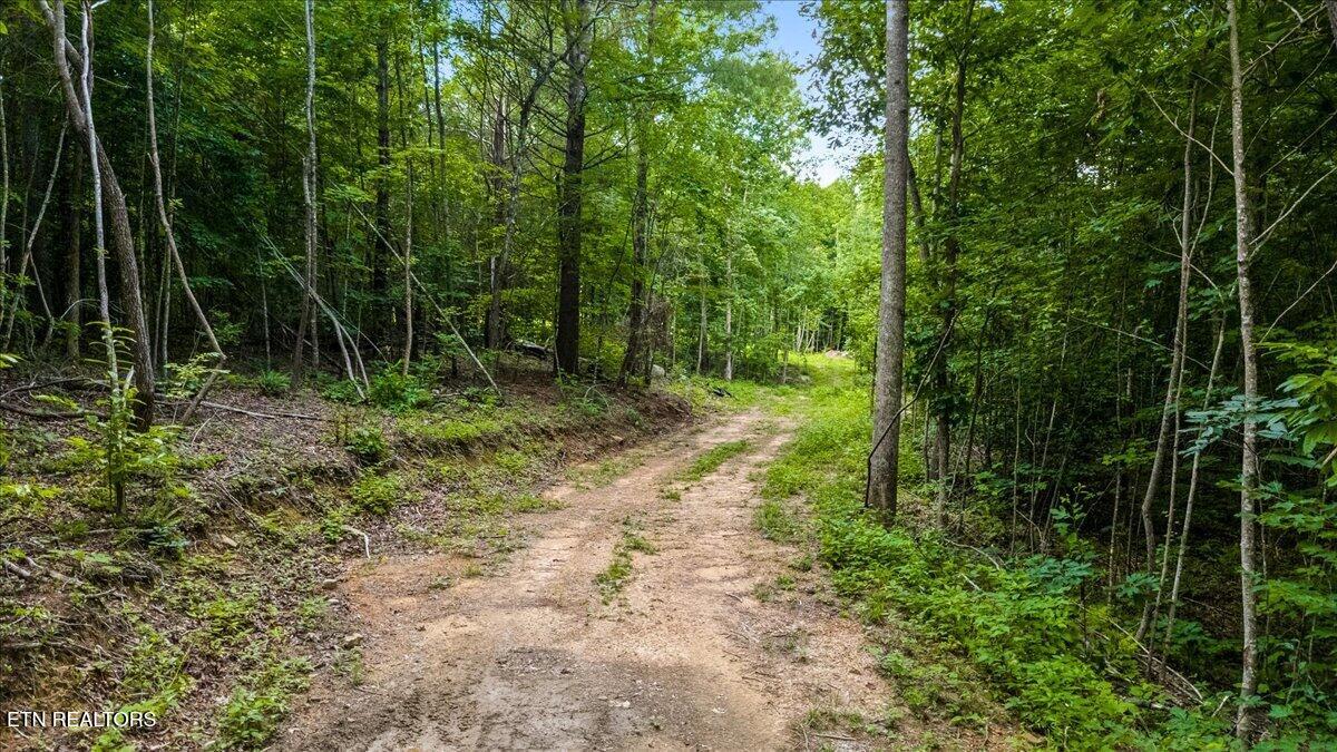 638 Jane Phillips Road Oneida TN 37841