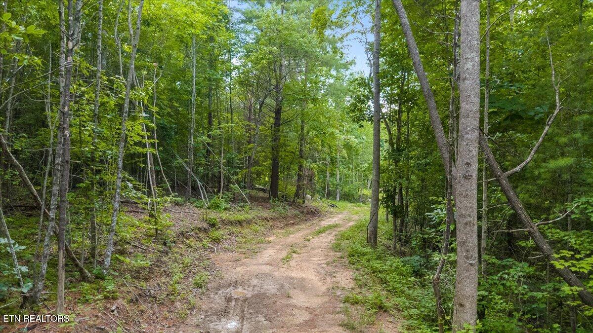 638 Jane Phillips Road Oneida TN 37841