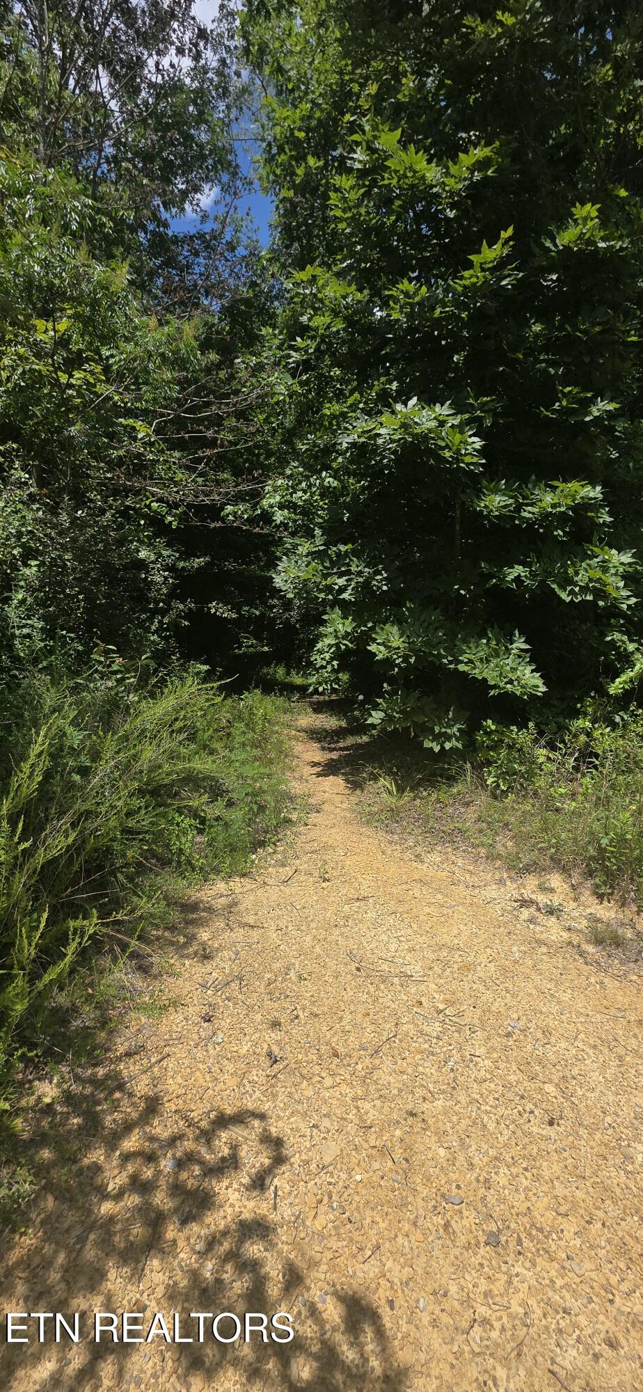 638 Jane Phillips Road Oneida TN 37841
