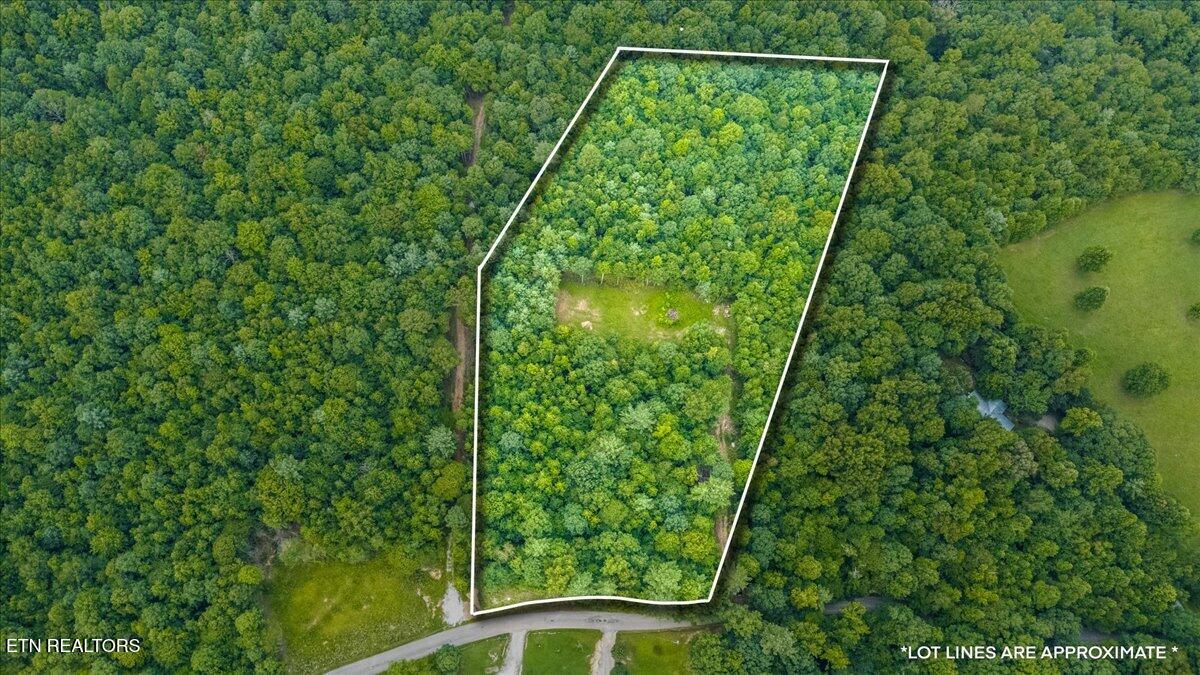 638 Jane Phillips Road Oneida TN 37841