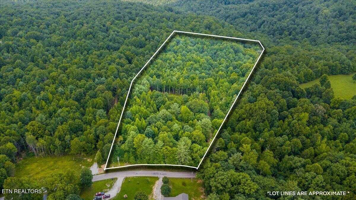 638 Jane Phillips Road Oneida TN 37841
