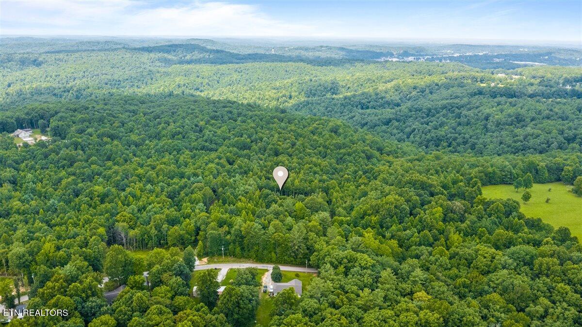 638 Jane Phillips Road Oneida TN 37841