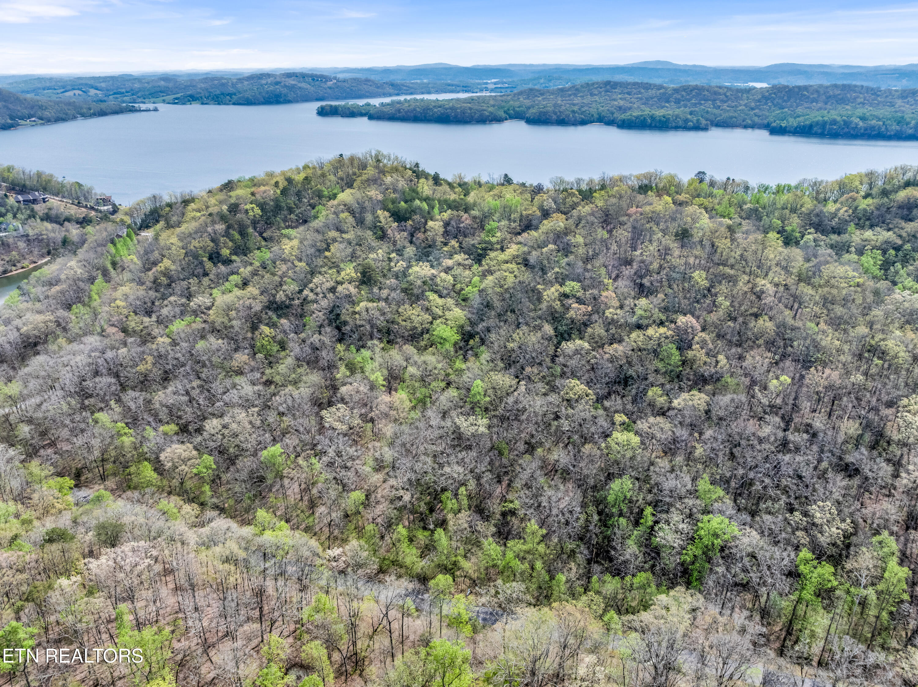 Hidden Oaks Road Rockwood TN 37854