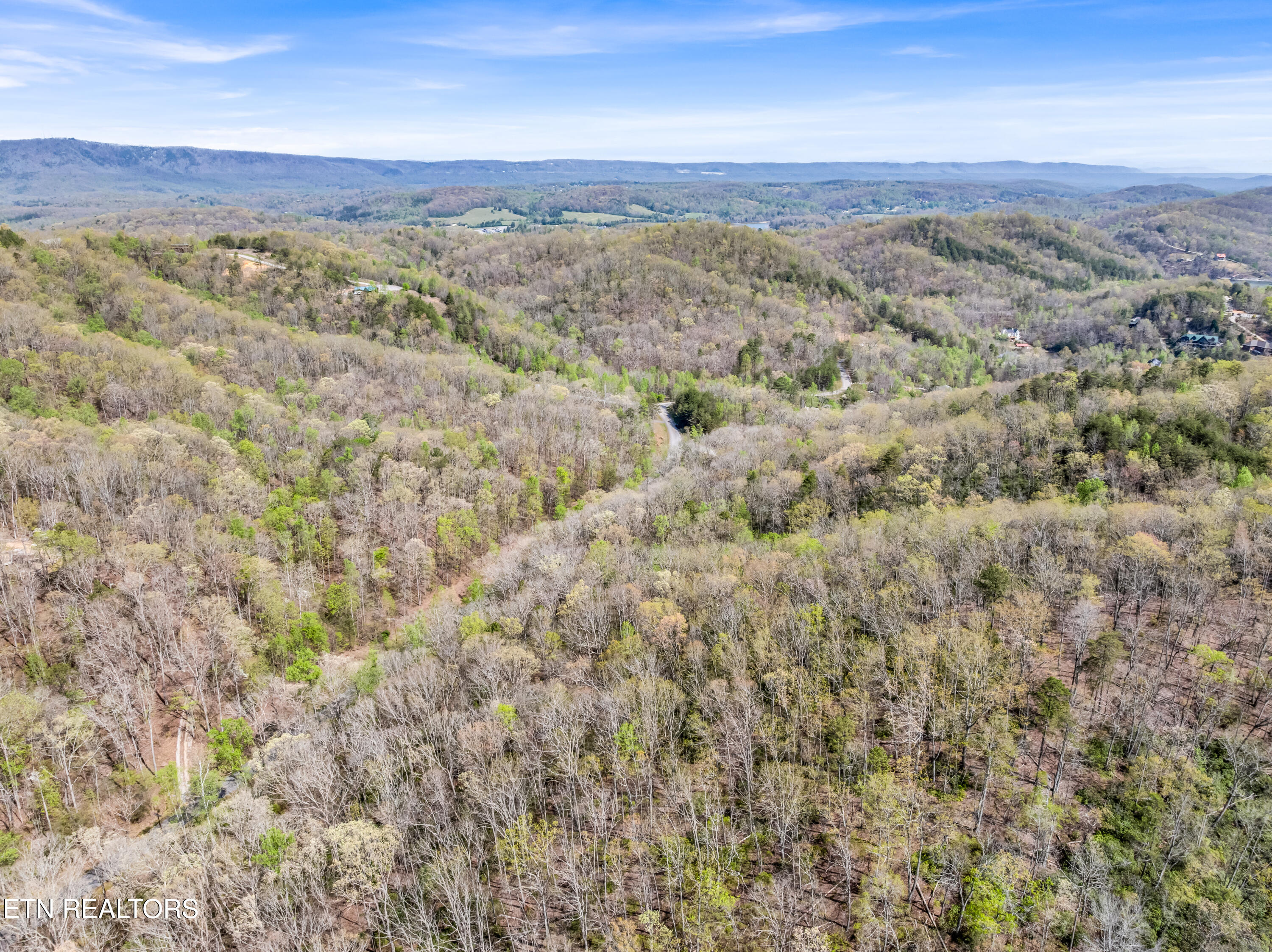 Hidden Oaks Road Rockwood TN 37854
