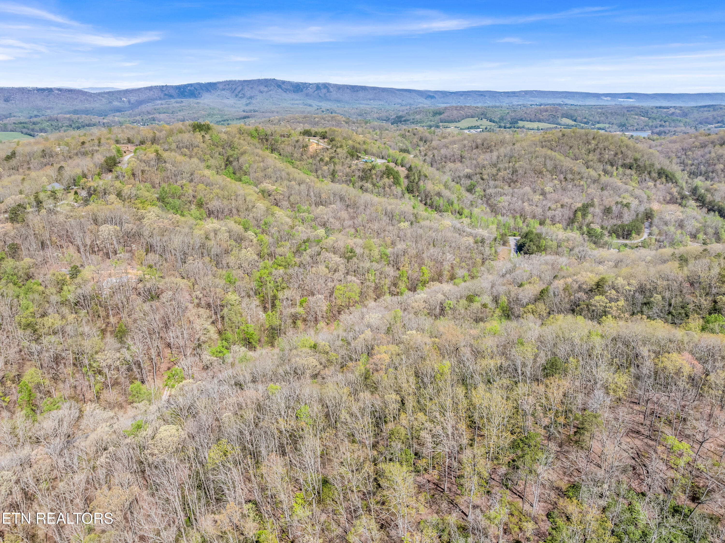 Hidden Oaks Road Rockwood TN 37854