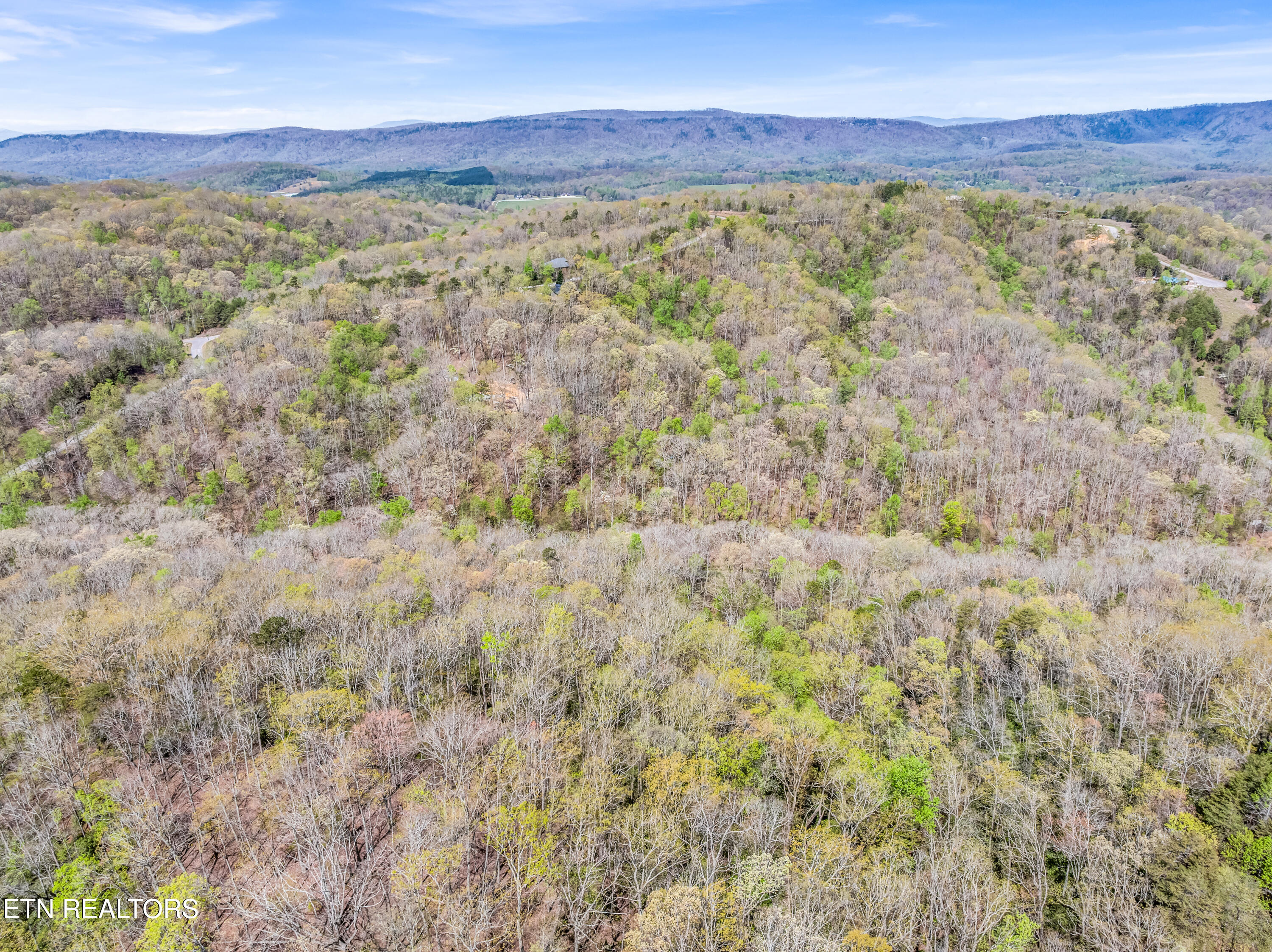 Hidden Oaks Road Rockwood TN 37854