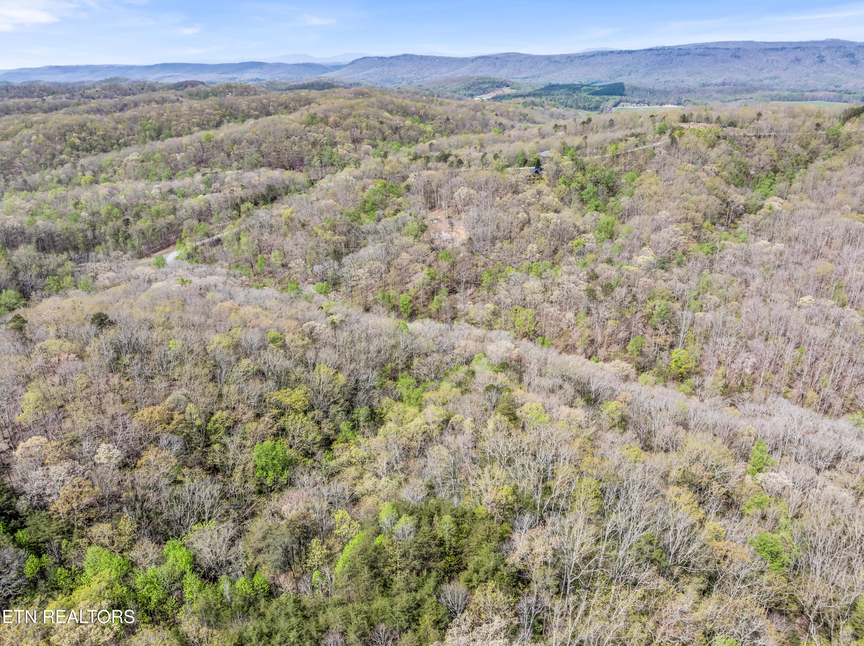 Hidden Oaks Road Rockwood TN 37854