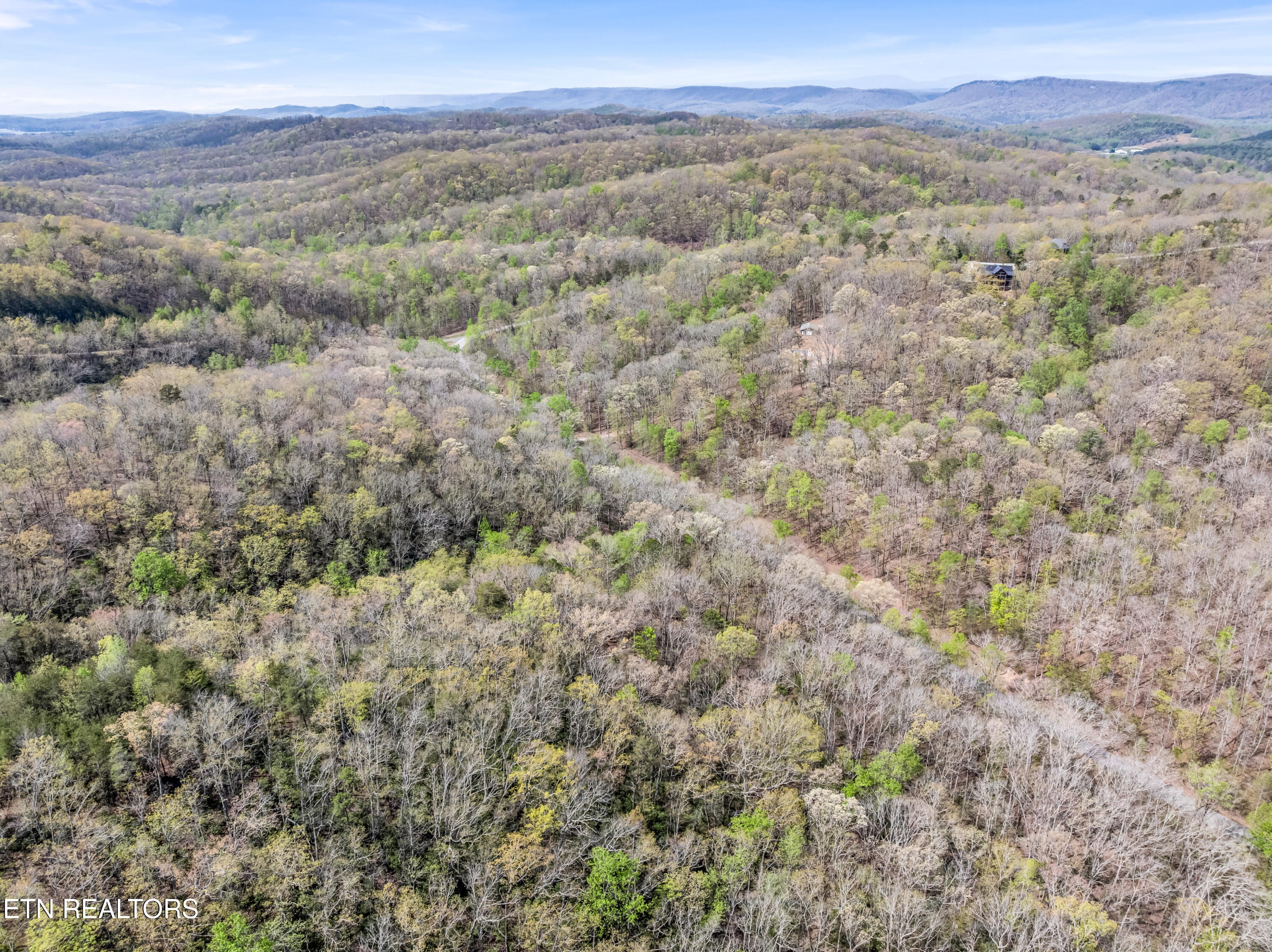 Hidden Oaks Road Rockwood TN 37854