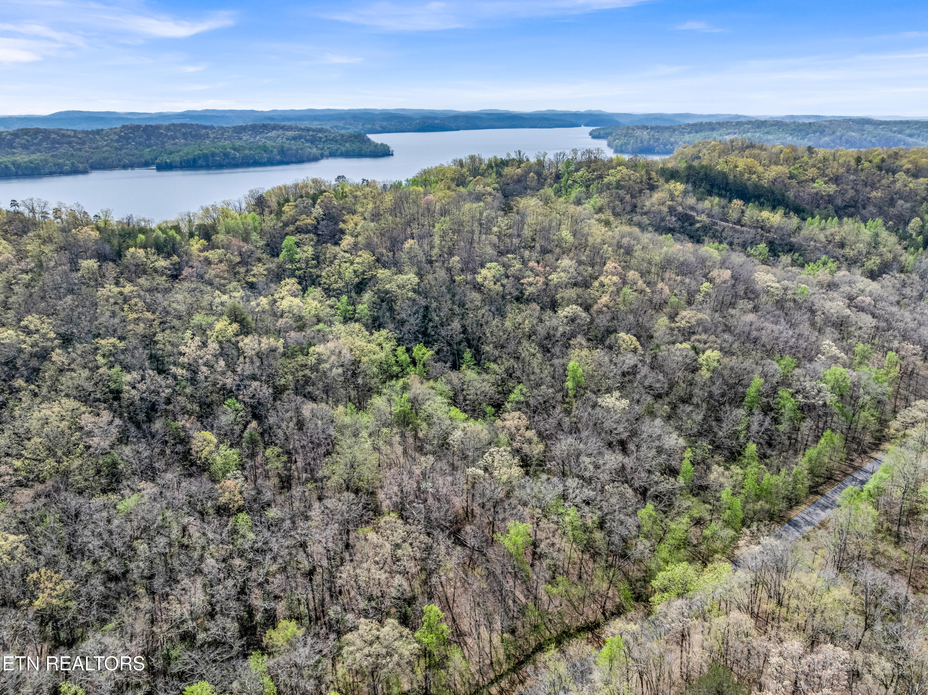 Hidden Oaks Road Rockwood TN 37854