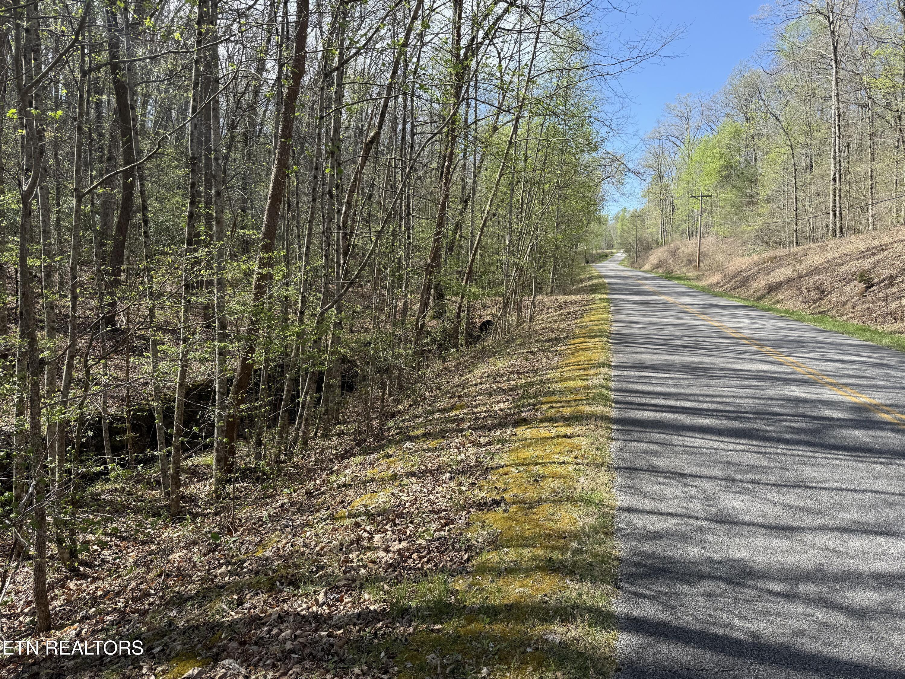 Hidden Oaks Road Rockwood TN 37854
